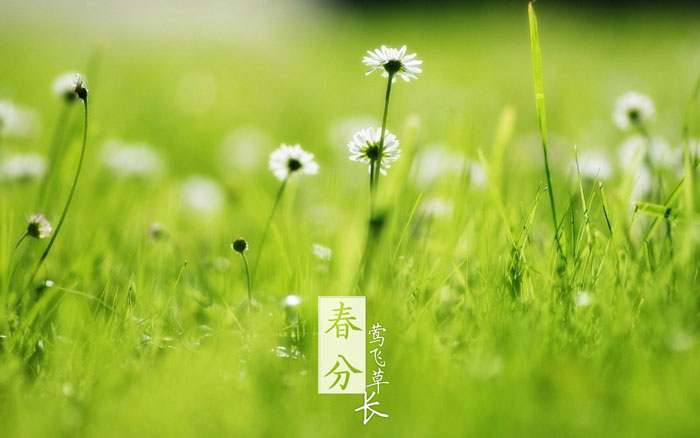 即就是东风十里，依然不如你