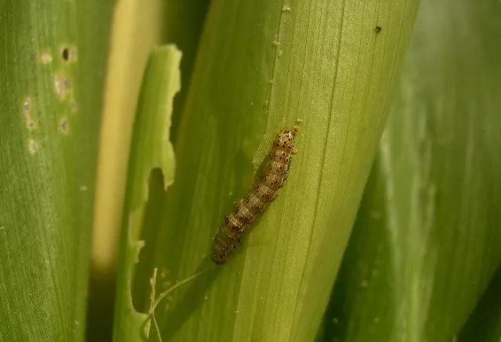 1547698081956689.png image.png