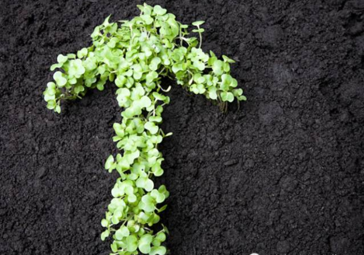 1547699609616980.png image.png